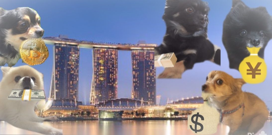 わんちゃん投資家　ラムチョンパ　億り人に俺はなる！！