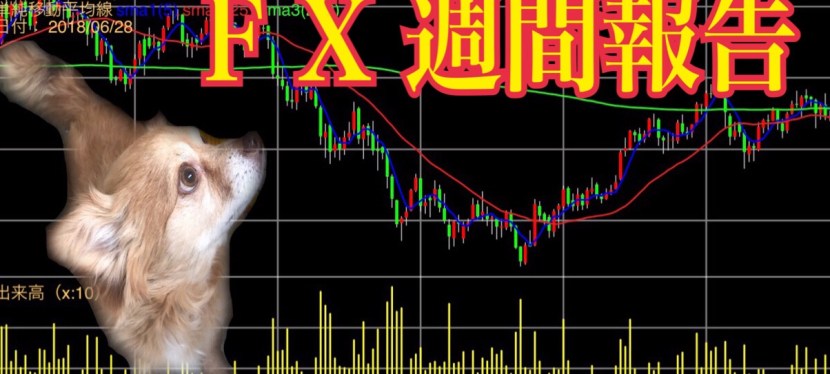 【来週のFX予想&今週のFX報告】6/24~7/1 #ドル円 13万勝